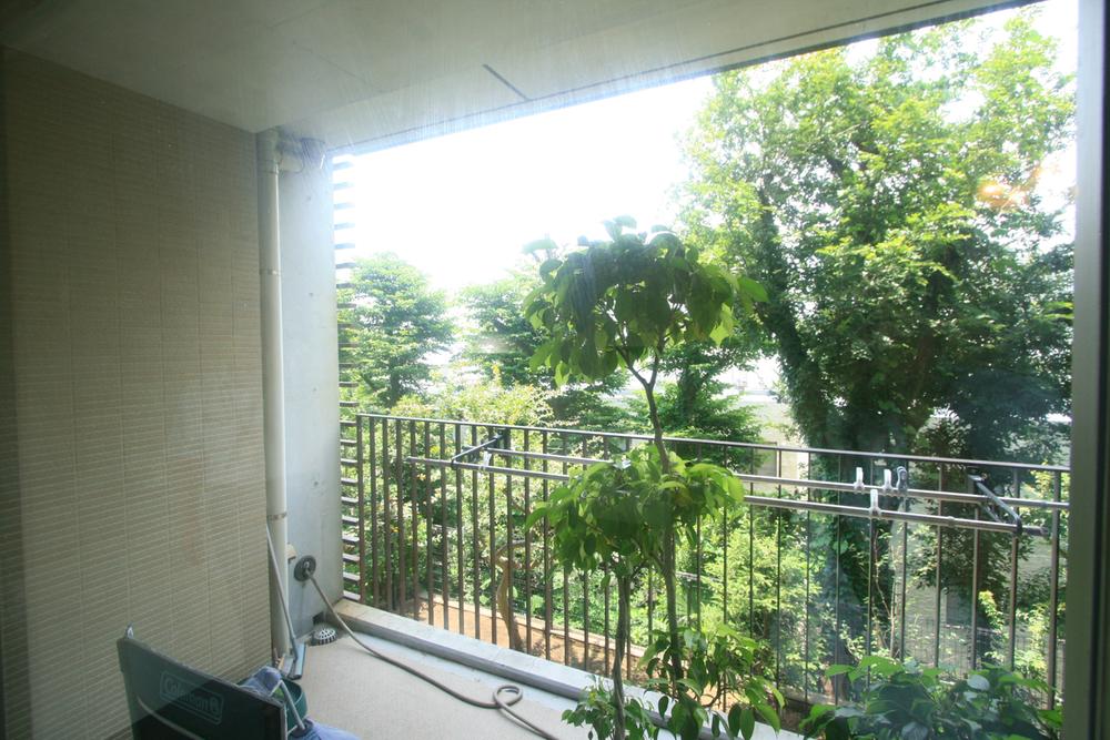 View photos from the dwelling unit. The view from the dwelling unit