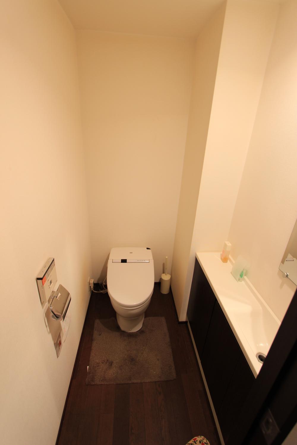 Toilet. Stylish toilet