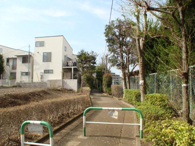 Local photos, including front road