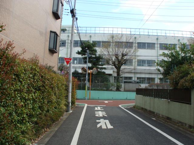 Local photos, including front road