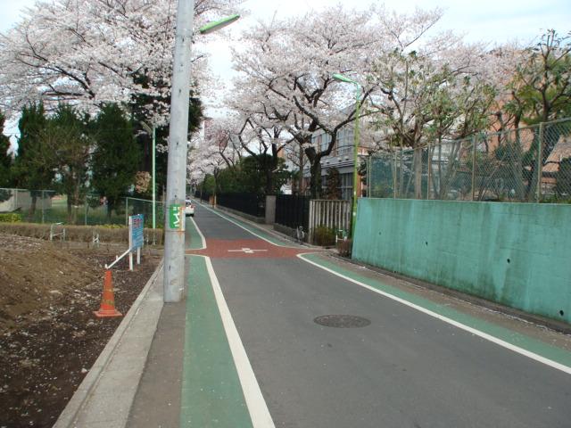 Local photos, including front road