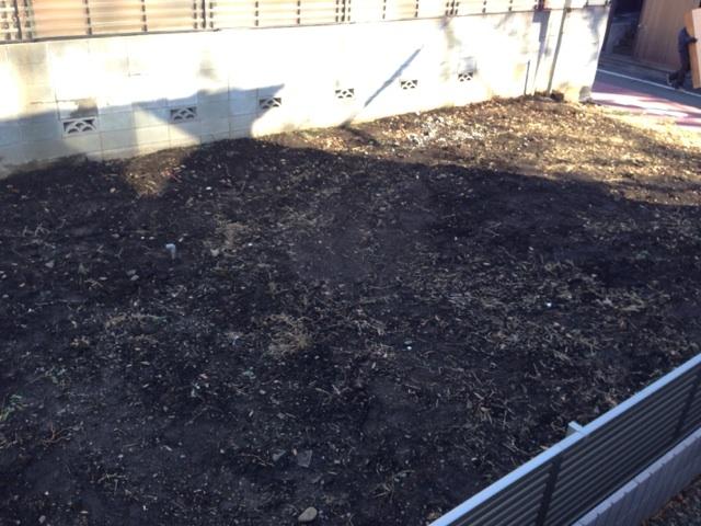 Local photos, including front road