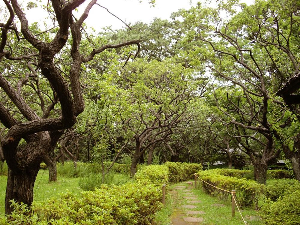 park. 1173m to Hanegi park