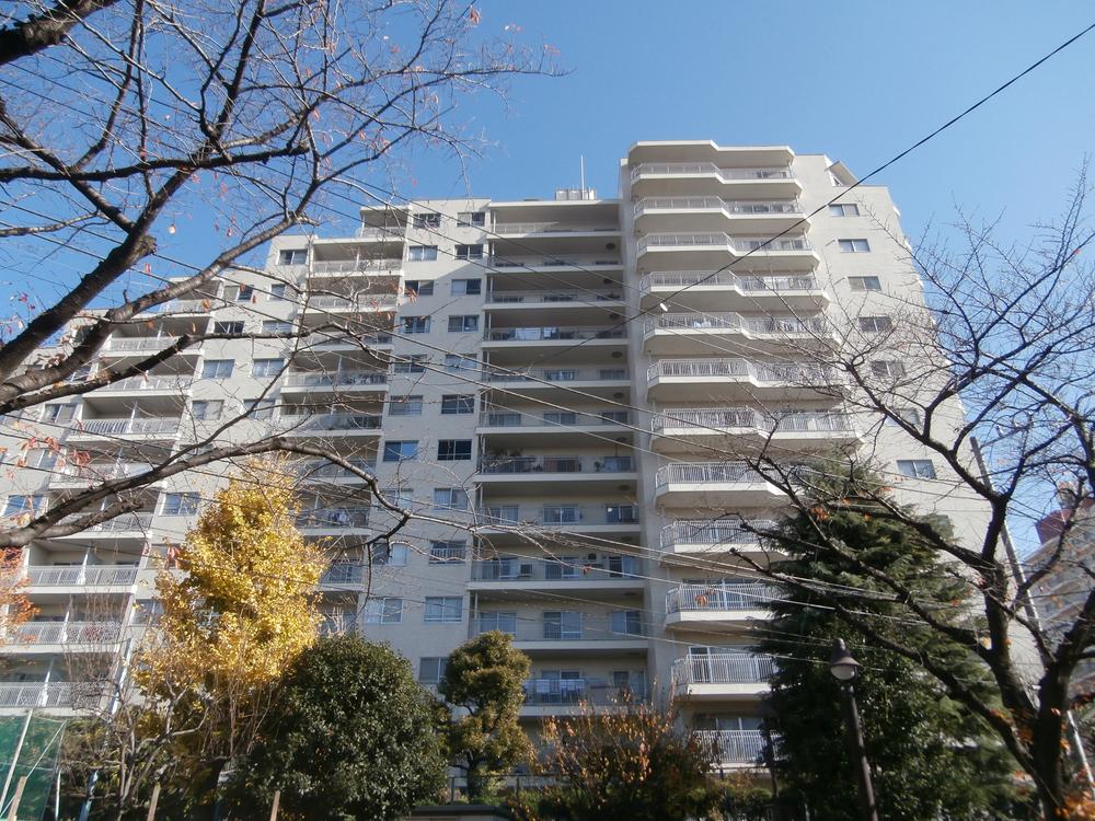 Local appearance photo. Local (12 May 2013) Shooting