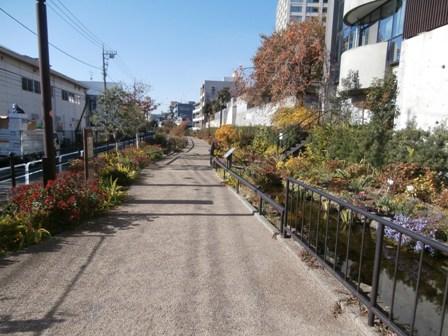 Other. Property before promenade