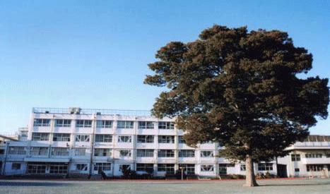 Junior high school. 1400m to Setagaya Ward Midorigaoka Junior High School