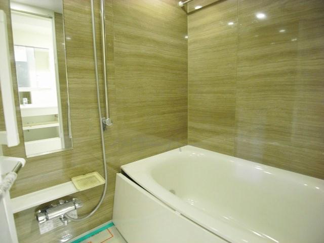 Bathroom. Bathroom Reform in