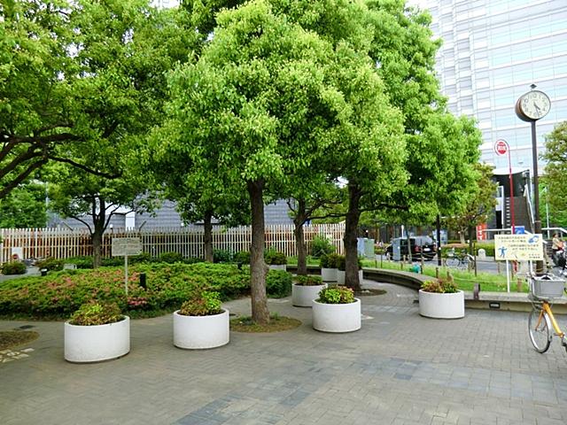 park. 270m to Yoga camphor tree park