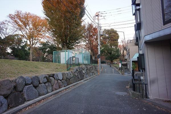 Local photos, including front road