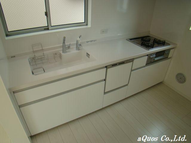 Kitchen. Indoor (10 May 2013) Shooting