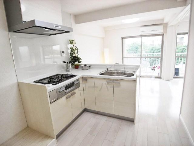 Local appearance photo. appearance