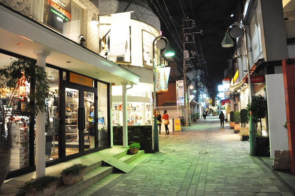 Other. "Jiyugaoka" night scene
