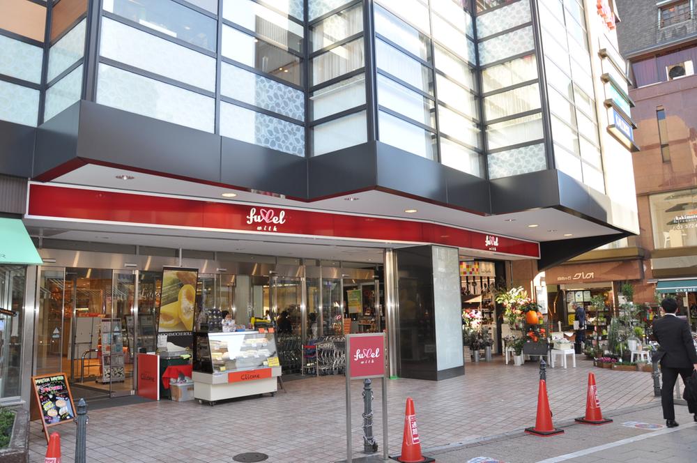 Other. "Tokyu Store Chain"