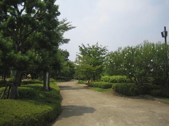 Other Environmental Photo. Kitami Friendship Square