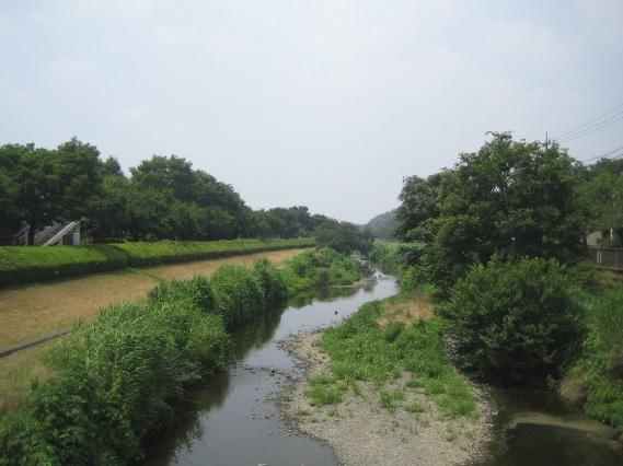 Other Environmental Photo. Nogawa