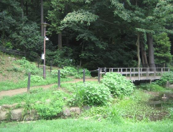 Other Environmental Photo. You can walk in the nearby green space