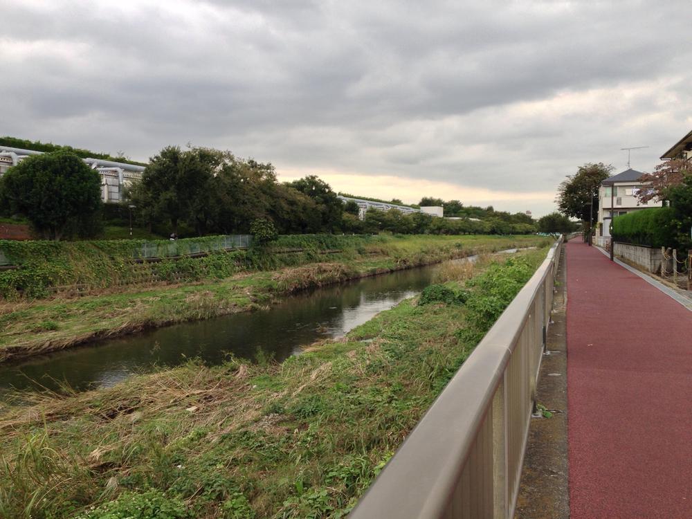 Other local. Local, we have adjacent to the boardwalk