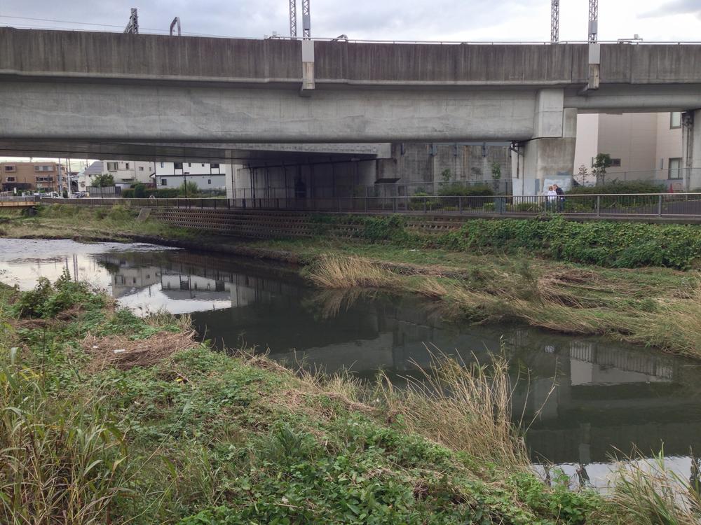 Other local. Local (10 May 2013) Shooting