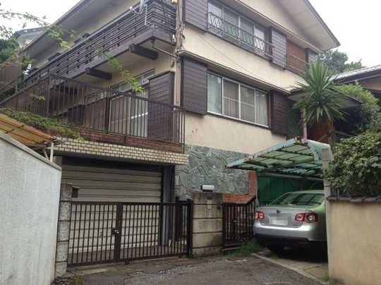 Local land photo. Appearance (1)