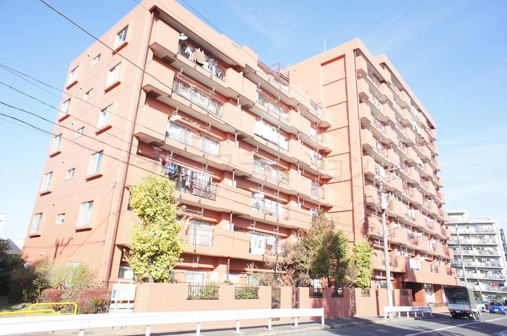 Local appearance photo. Local (December 1, 2013) Shooting