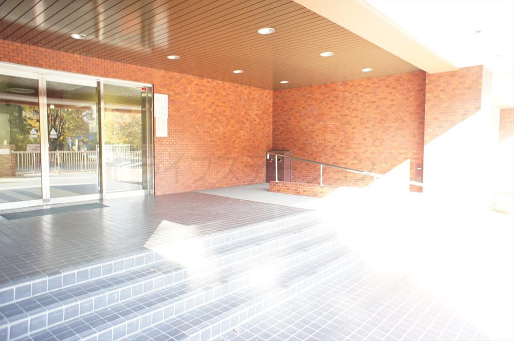 Entrance. Common areas