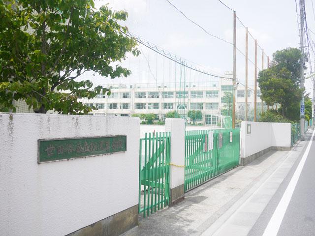 Junior high school. 455m to Setagaya Ward Matsuzawa Junior High School