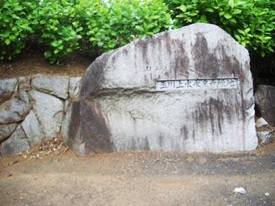 park. Tamagawa Yongkang Izumidera to green space 742m