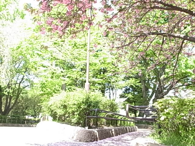 park. Hanegi 748m to the park (park)