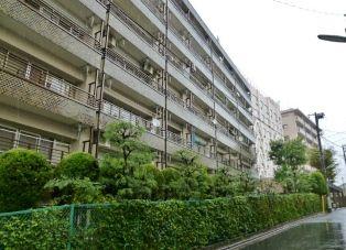 Local appearance photo. appearance