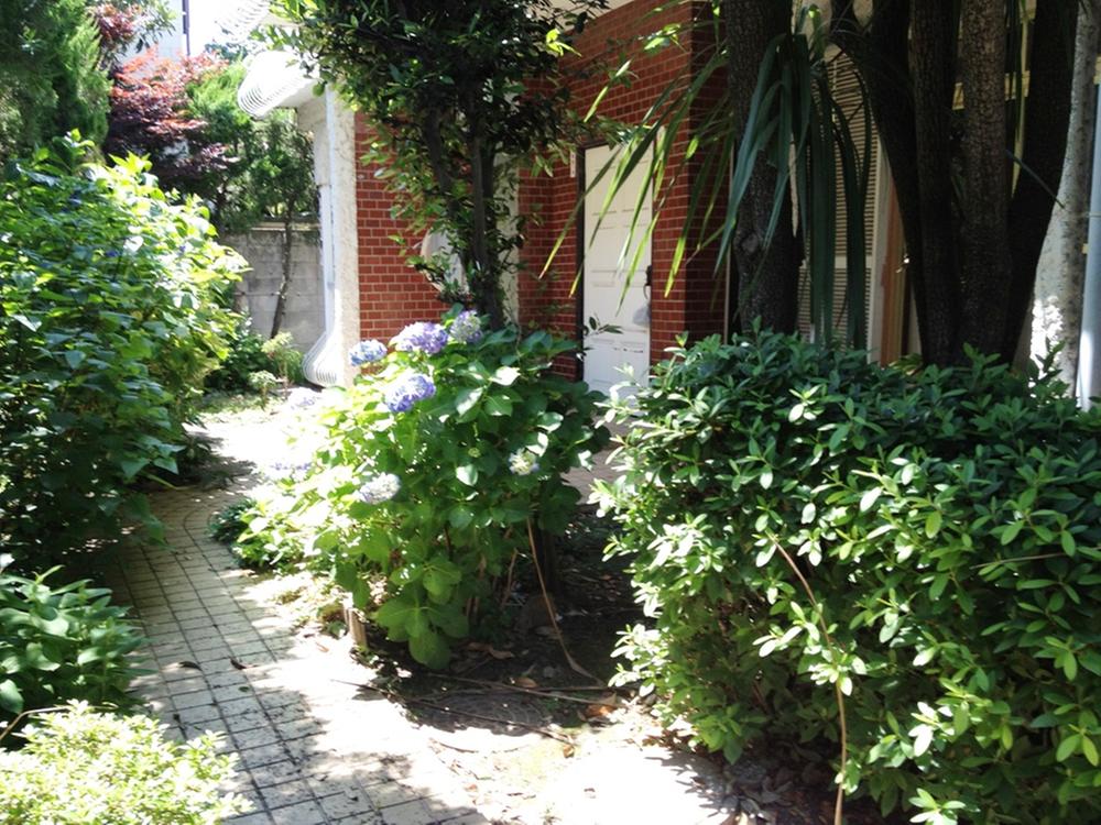 Local land photo. Local (June 2013) Shooting