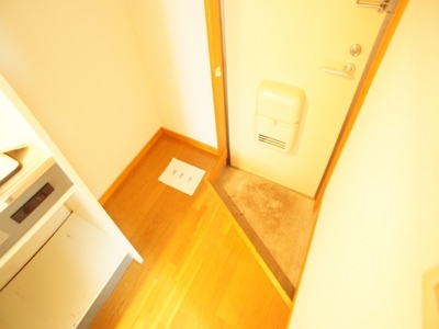 Entrance. All flooring tone floor