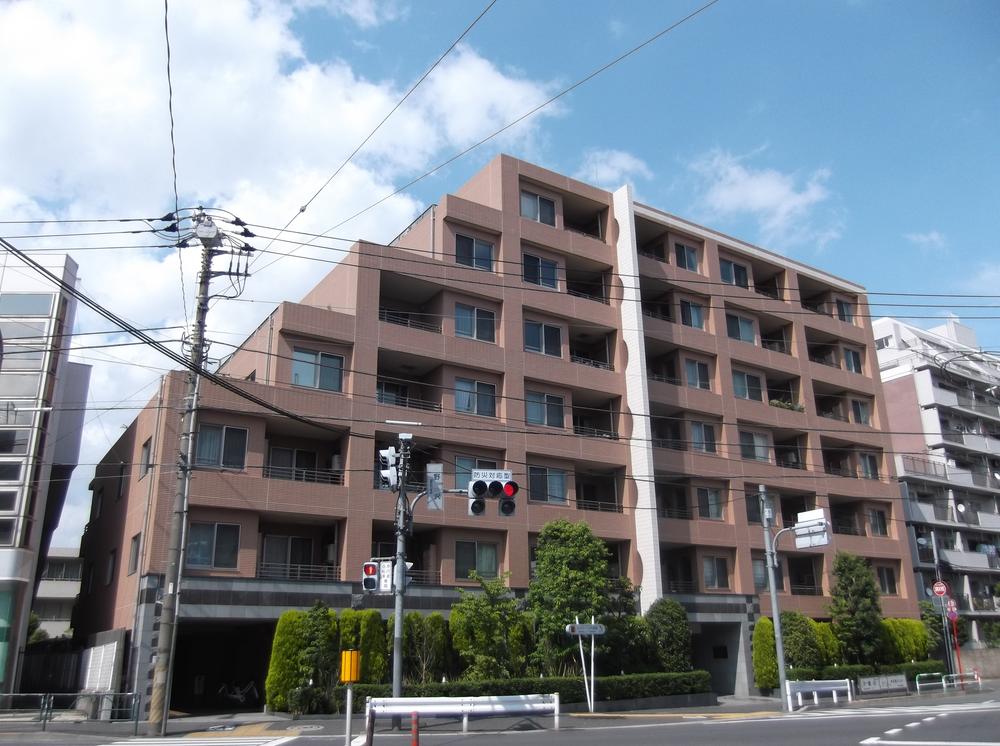 Local appearance photo. This appearance attractive the imposing appearance of a profound feeling.