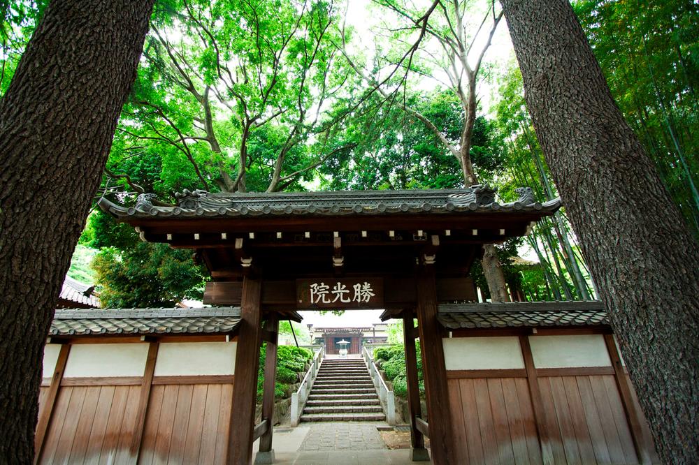 Other Environmental Photo. Also seen garden with stately to 1030m precincts until Katsumitsu Council. Especially beautiful bamboo grove, A bamboo fence has combined exudes the elegance of a good atmosphere. 