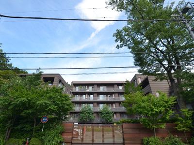 Setagaya-ku, Tokyo Tamagawa 4