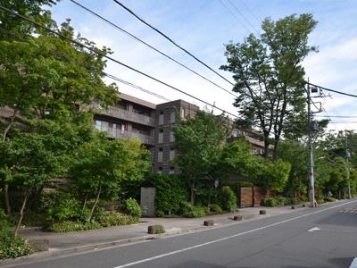 Setagaya-ku, Tokyo Tamagawa 4