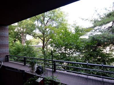 Setagaya-ku, Tokyo Tamagawa 4