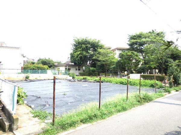 Local land photo. Local Photos