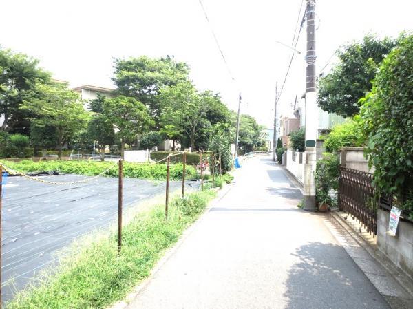 Local photos, including front road. Local front road