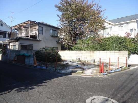 Local land photo. Appearance (1)