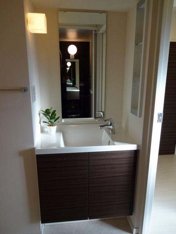 Wash basin, toilet. Bathroom vanity