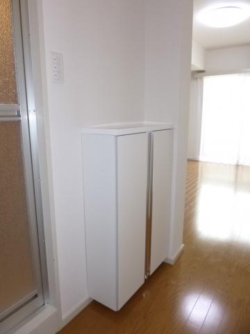 Receipt. Footwear input