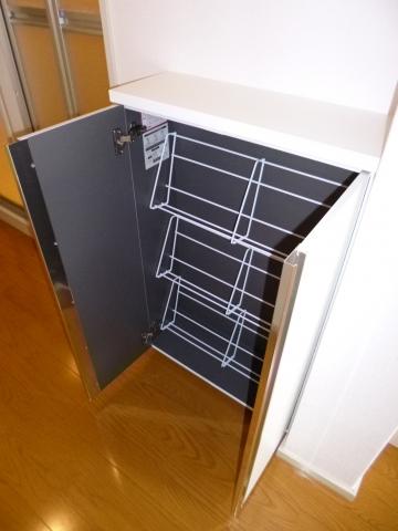 Receipt. Footwear input