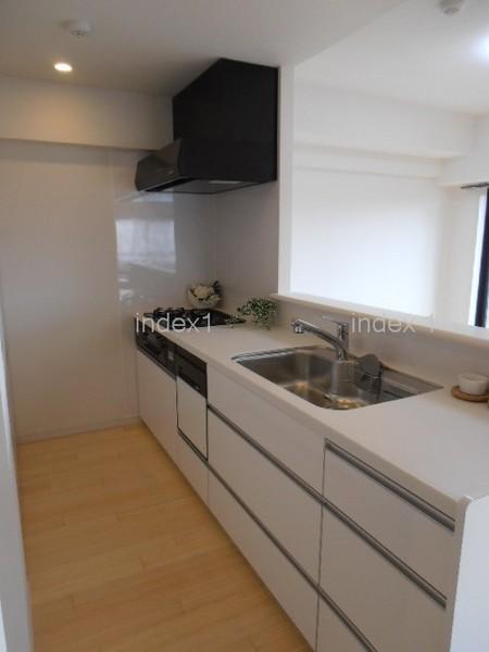 Kitchen. Counter-type system Kitchen