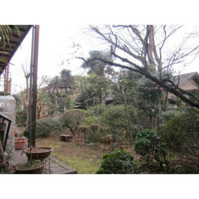 Local land photo. Local Photos