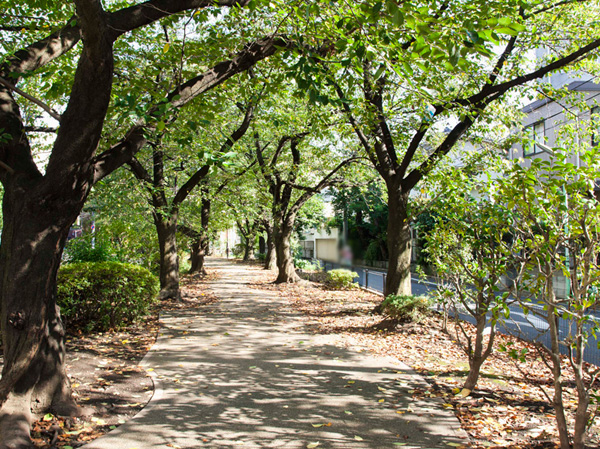 Surrounding environment. Osan River green road (about 150m / A 2-minute walk)