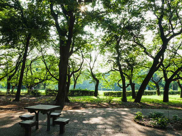 Surrounding environment. Kinutakoen (about 2390m / A 30-minute walk)