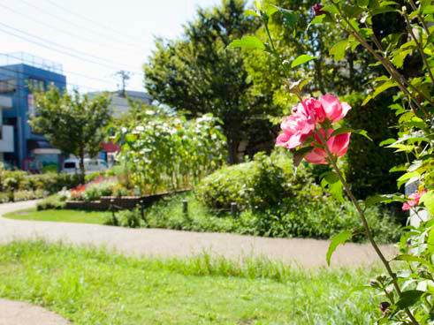 Surrounding environment. Kyodo Ohashi park (about 510m / 7-minute walk)