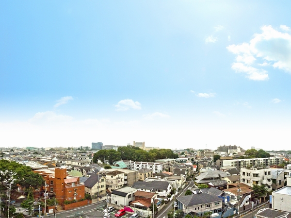 Overlooking the southwest side from local 8th floor equivalent (August 2013 shooting)