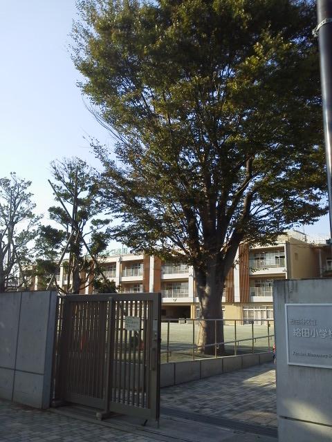 Other. ● Ward Kyuden Elementary School ● About 1200m A 15-minute walk