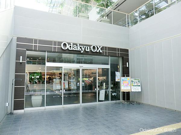 Supermarket. OdakyuOX Seijo to the store 544m